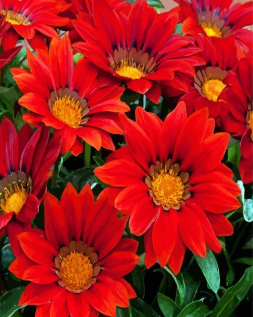 Blooming Red Gazania paint by numbers