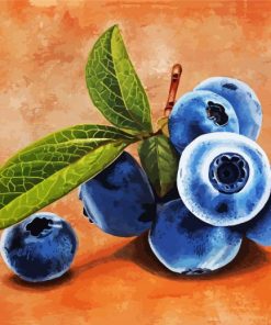 Blueberries Fruit paint by numbers