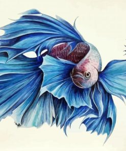 Blue Siamese Fish Paint By Number