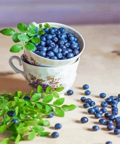 Blueberries Cup paint by numbers