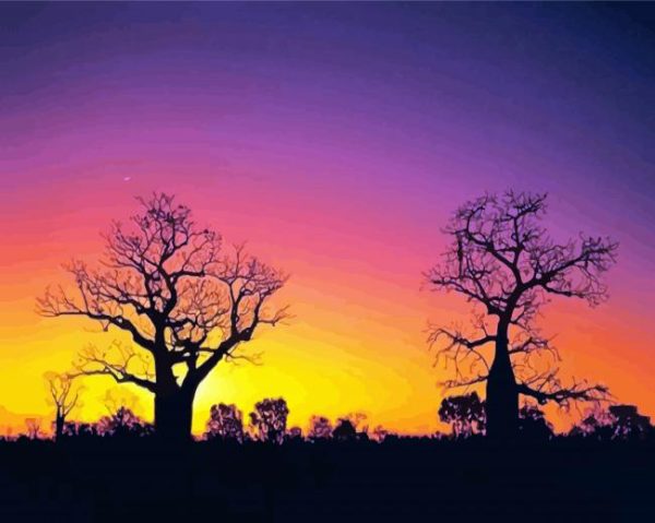 Boab Trees Silhouette Paint By Number