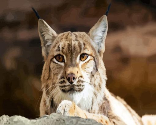 Wild Bobcat Head Paint By Number