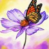 Butterfly On Cosmos Flower Paint By Number