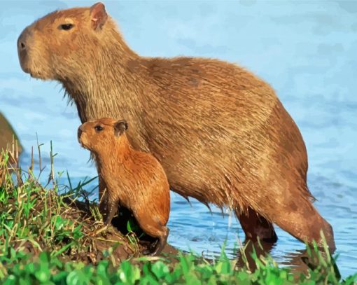 Capybara Rodent paint by numbers