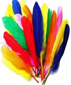 Colorful Bird Feathers paint by numbers