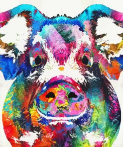 Colorful Pig Paint By Number