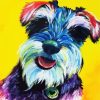 Colorful Schnauze Paint By Number