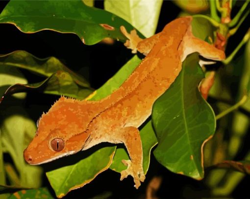 Crested Gecko Lizard Paint By Number