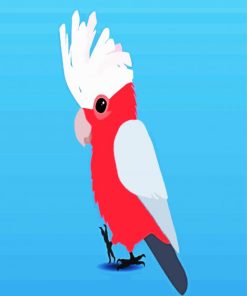 Cute Galah Bird paint by numbers