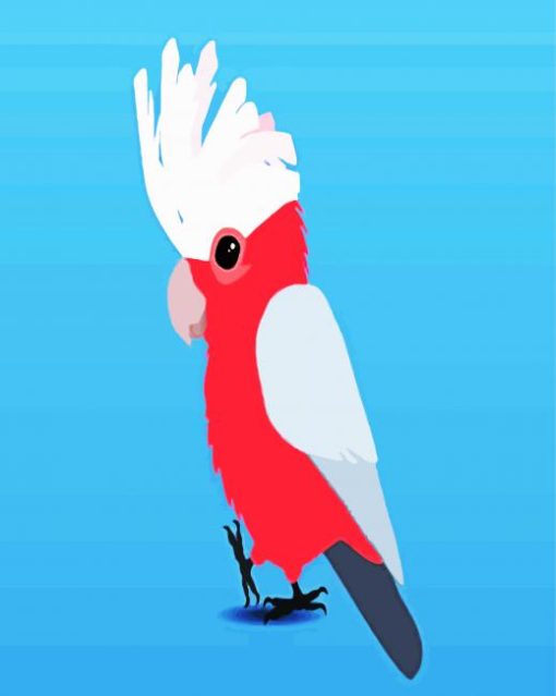 Cute Galah Bird paint by numbers