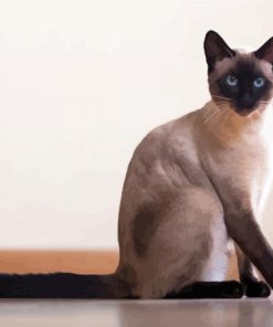 Cute Siamese Cat paint by numbers