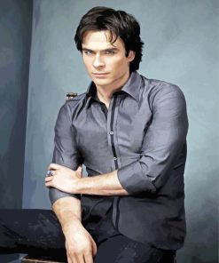 Damon Salvatore Lan Somerhalder paint by numbers