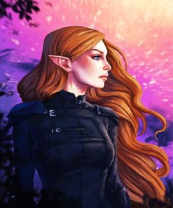 Feyre Elf paint by numbers