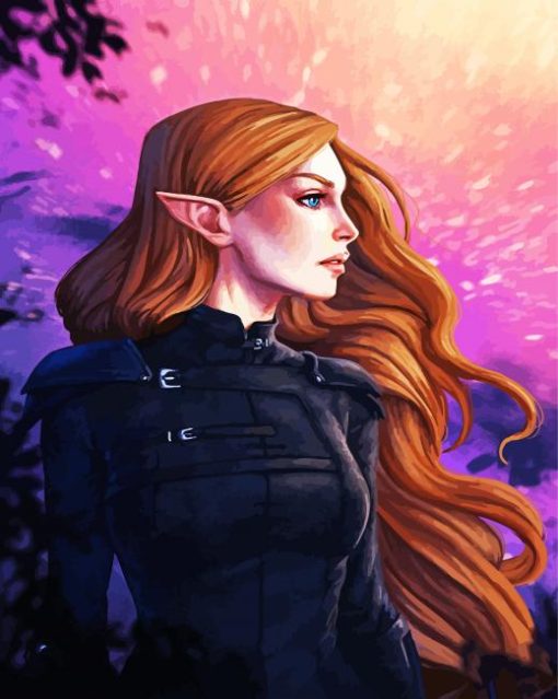 Feyre Elf paint by numbers