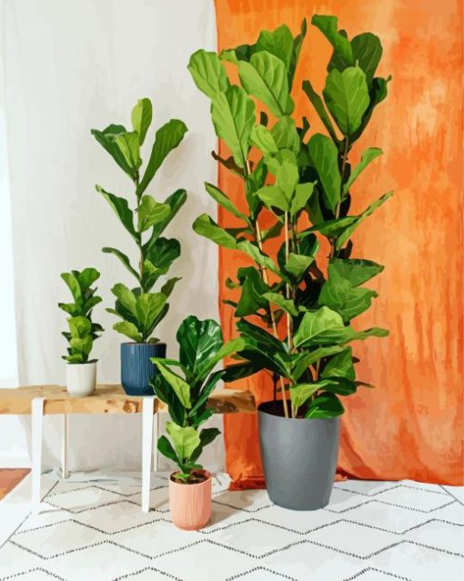 Fiddle Leaf Fig Plant paint by numbers