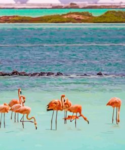 Flamingos In Bonaire Island paint by numbers