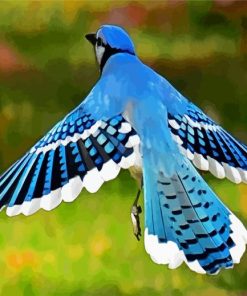 Flying Blue Jay paint by numbers