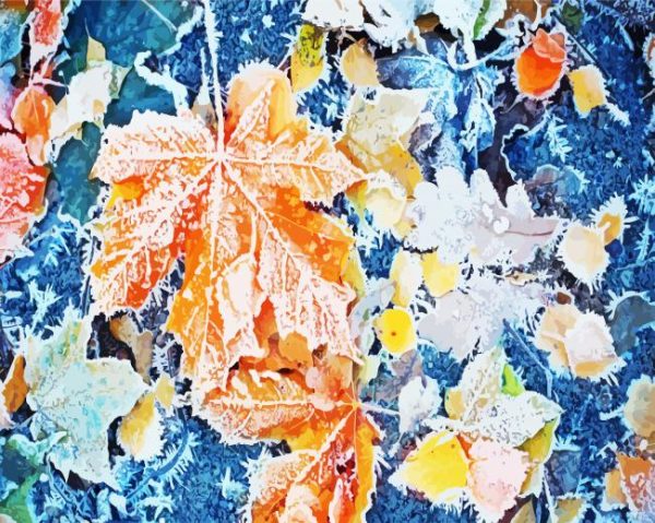 Frost Leaves Paint By Number