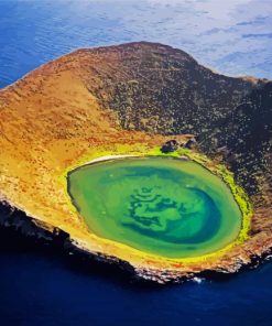 Galapagos Island paint by numbers