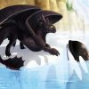 How to Train Your Dragon and Orca paint by numbers