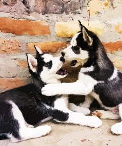 Husky Puppies paint by number