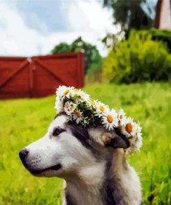 Husky With Flowers Crown Paint By Number