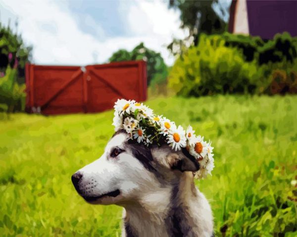 Husky With Flowers Crown Paint By Number