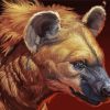 Hyena Head paint by numbers