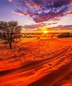 Africa Kalahari Desert Sunset Paint By Number