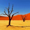 Kalahari Desert Trees Paint By Number