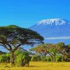 Kenya Landscape Paint By Number