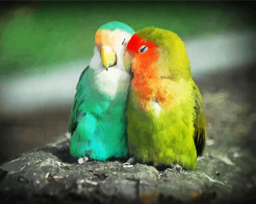 Lovebirds Parrots paint by numbers