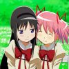 Madoka Kaname And Homura Akemi paint by numbers