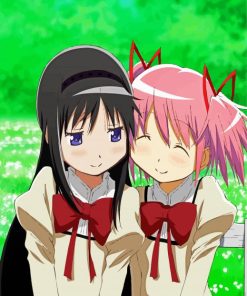 Madoka Kaname And Homura Akemi paint by numbers