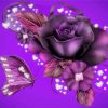 Magical Violet Roses paint by numbers