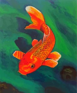 Orange Koi Carp paint by numbers