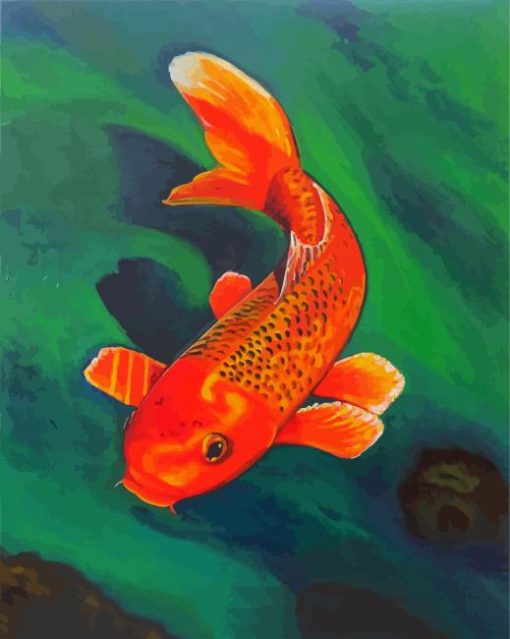 Orange Koi Carp paint by numbers