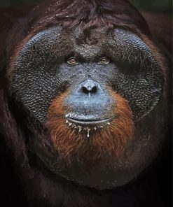 Orangutan Close Up Face Paint By Number