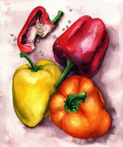 Peppers Vegetable paint by numbers