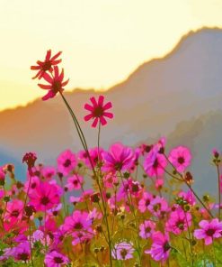 Pink Flower Meadow paint by numbers