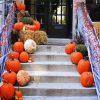 Pumpkins Stairs paint by numbers