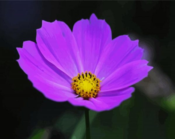 Purple Cosmos paint by numbers