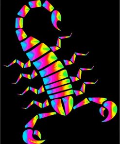 Rainbow Scorpion paint by numbers