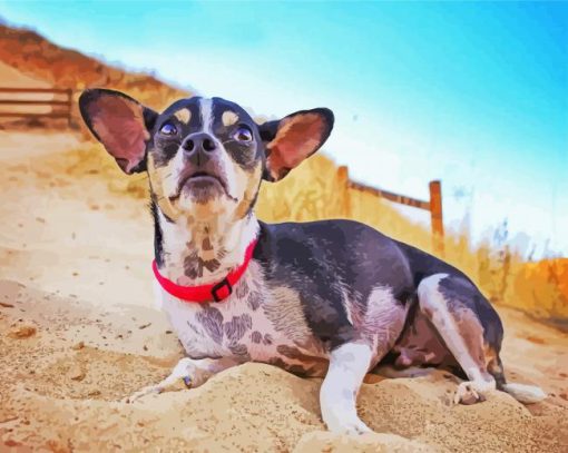 Rat Terrier Sitting Paint By Number