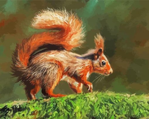 Red Squirrel On Branch paint by numbers