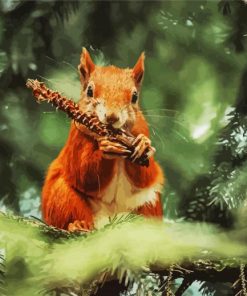 Red Squirrel paint by numbers