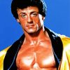 Rocky Balboa By Sylvester Stallone Paint By Number