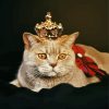 Royal Cat Pet paint by numbers