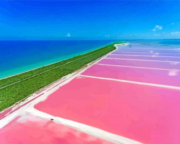 Saltwater Lagoon Bonaire Island paint by numbers