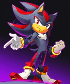 Shadow Sonic Paint By Number